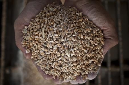 Agricultor chino se convierte en magnate gracias al comercio electronico